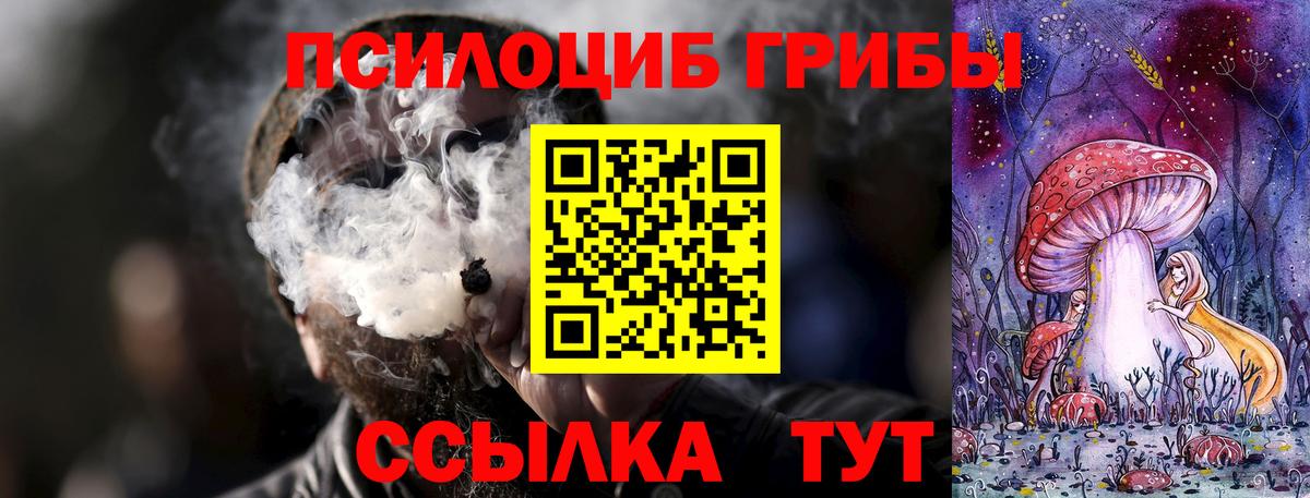сколько стоит  Вход с VPN  Кумертау  Псилоцибиновые грибы GOLDEN TEACHER 